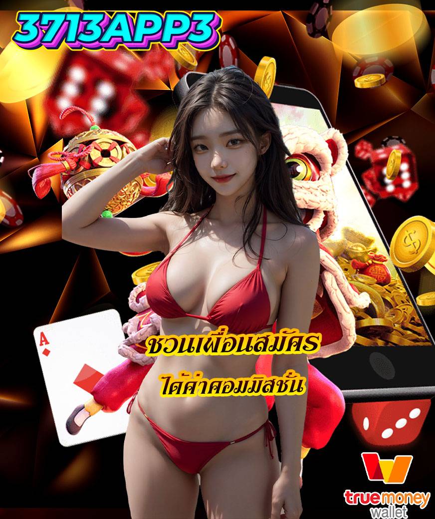 3713app3